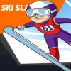 Ski Slalom Game