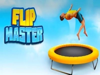 Flip Master